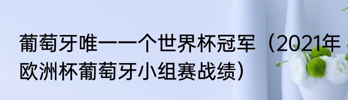 葡萄牙唯一一个世界杯冠军（2021年欧洲杯葡萄牙小组赛战绩）