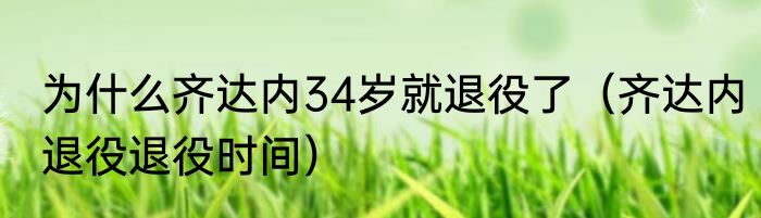 为什么齐达内34岁就退役了（齐达内退役退役时间）