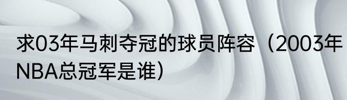 求03年马刺夺冠的球员阵容（2003年NBA总冠军是谁）
