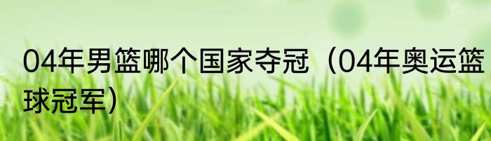 04年男篮哪个国家夺冠（04年奥运篮球冠军）