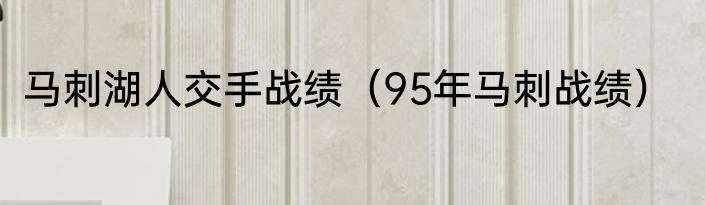 马刺湖人交手战绩（95年马刺战绩）