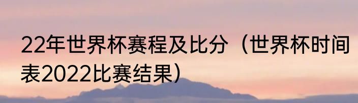 22年世界杯赛程及比分（世界杯时间表2022比赛结果）
