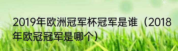 2019年欧洲冠军杯冠军是谁（2018年欧冠冠军是哪个）