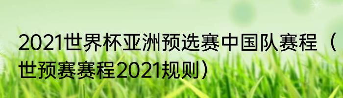 2021世界杯亚洲预选赛中国队赛程（世预赛赛程2021规则）