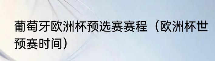葡萄牙欧洲杯预选赛赛程（欧洲杯世预赛时间）