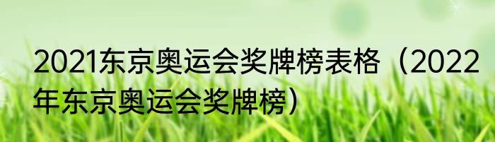 2021东京奥运会奖牌榜表格（2022年东京奥运会奖牌榜）