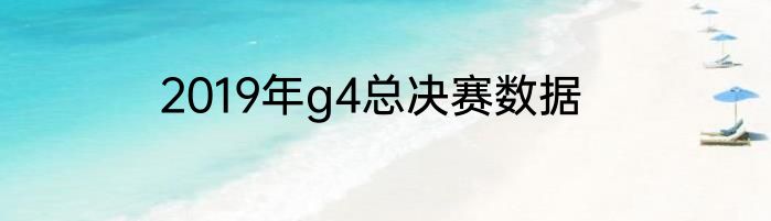 2019年g4总决赛数据