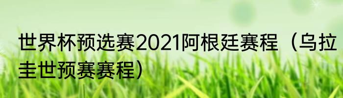 世界杯预选赛2021阿根廷赛程（乌拉圭世预赛赛程）