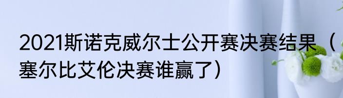 2021斯诺克威尔士公开赛决赛结果（塞尔比艾伦决赛谁赢了）