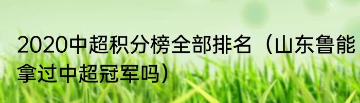 2020中超积分榜全部排名（山东鲁能拿过中超冠军吗）