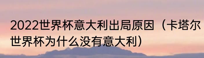 2022世界杯意大利出局原因（卡塔尔世界杯为什么没有意大利）