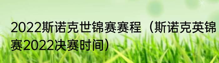 2022斯诺克世锦赛赛程（斯诺克英锦赛2022决赛时间）
