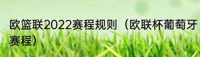 欧篮联2022赛程规则（欧联杯葡萄牙赛程）