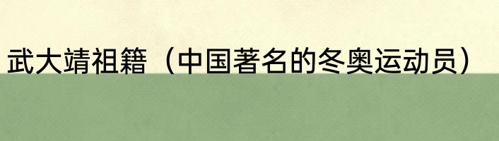 武大靖祖籍（中国著名的冬奥运动员）