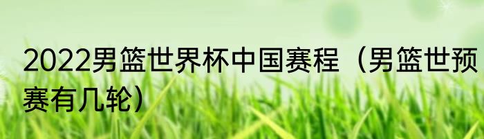 2022男篮世界杯中国赛程（男篮世预赛有几轮）