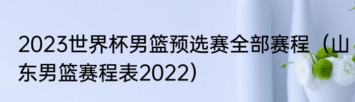 2023世界杯男篮预选赛全部赛程（山东男篮赛程表2022）