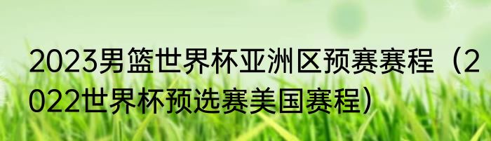 2023男篮世界杯亚洲区预赛赛程（2022世界杯预选赛美国赛程）