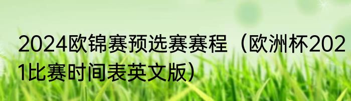 2024欧锦赛预选赛赛程（欧洲杯2021比赛时间表英文版）
