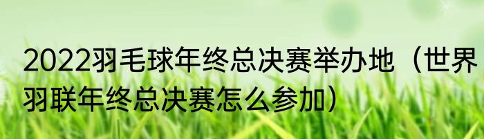 2022羽毛球年终总决赛举办地（世界羽联年终总决赛怎么参加）