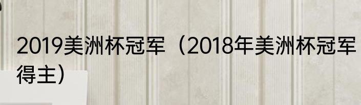 2019美洲杯冠军（2018年美洲杯冠军得主）