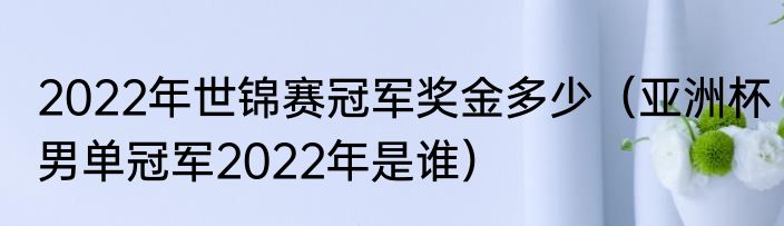2022年世锦赛冠军奖金多少（亚洲杯男单冠军2022年是谁）