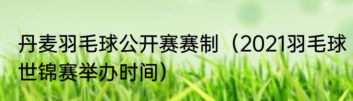 丹麦羽毛球公开赛赛制（2021羽毛球世锦赛举办时间）
