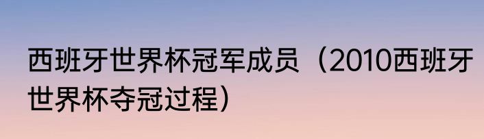 西班牙世界杯冠军成员（2010西班牙世界杯夺冠过程）