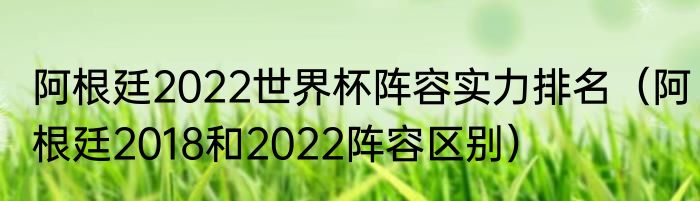 阿根廷2022世界杯阵容实力排名（阿根廷2018和2022阵容区别）