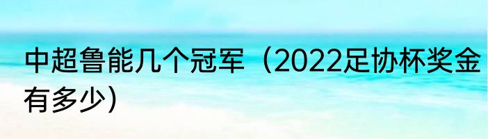 中超鲁能几个冠军（2022足协杯奖金有多少）