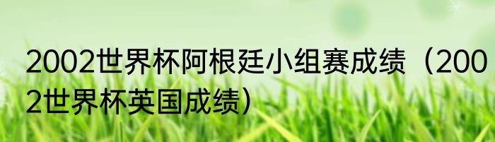 2002世界杯阿根廷小组赛成绩（2002世界杯英国成绩）