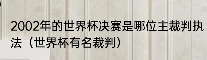 2002年的世界杯决赛是哪位主裁判执法（世界杯有名裁判）