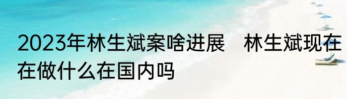 2023年林生斌案啥进展   林生斌现在在做什么在国内吗 