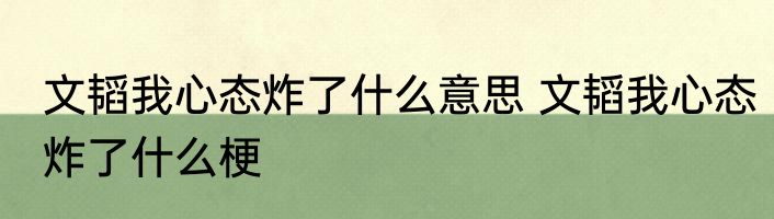 文韬我心态炸了什么意思 文韬我心态炸了什么梗