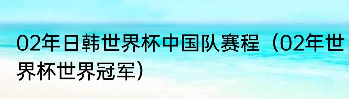 02年日韩世界杯中国队赛程（02年世界杯世界冠军）