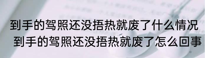 到手的驾照还没捂热就废了什么情况  到手的驾照还没捂热就废了怎么回事