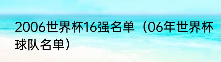 2006世界杯16强名单（06年世界杯球队名单）