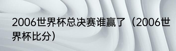 2006世界杯总决赛谁赢了（2006世界杯比分）