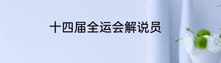十四届全运会解说员