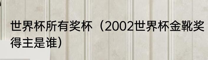 世界杯所有奖杯（2002世界杯金靴奖得主是谁）