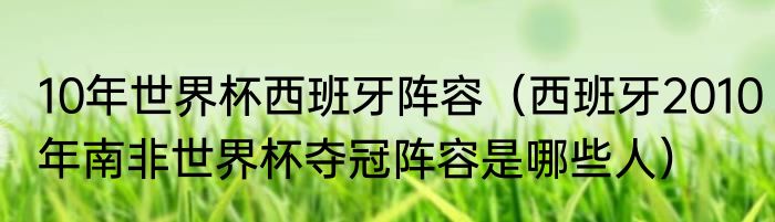 10年世界杯西班牙阵容（西班牙2010年南非世界杯夺冠阵容是哪些人）