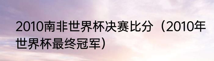 2010南非世界杯决赛比分（2010年世界杯最终冠军）