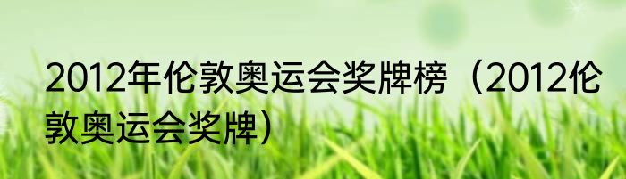 2012年伦敦奥运会奖牌榜（2012伦敦奥运会奖牌）