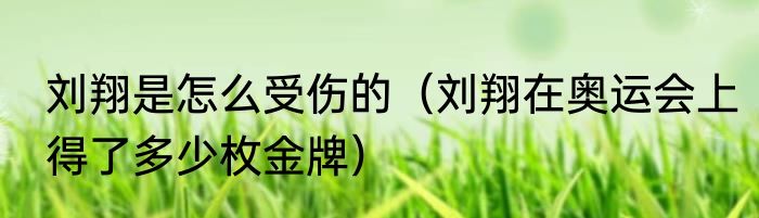 12年奥运会羽毛球男单冠军（2012伦敦奥运会羽毛球男单冠军是）