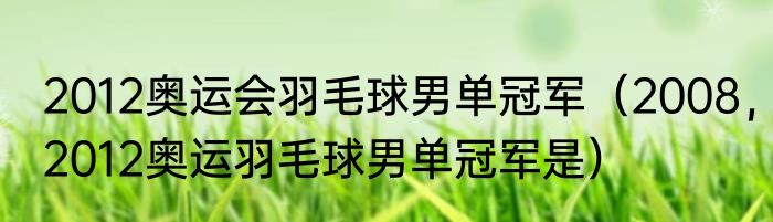 2012奥运会羽毛球男单冠军（2008，2012奥运羽毛球男单冠军是）