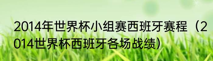 2014年世界杯小组赛西班牙赛程（2014世界杯西班牙各场战绩）