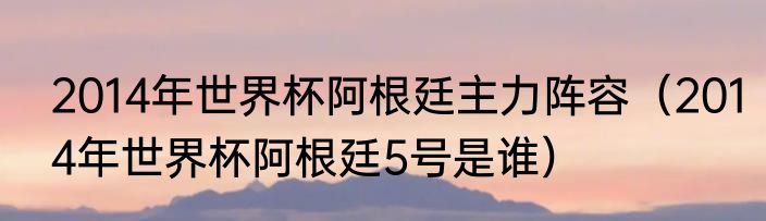 2014年世界杯阿根廷主力阵容（2014年世界杯阿根廷5号是谁）
