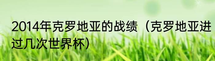 2014年克罗地亚的战绩（克罗地亚进过几次世界杯）