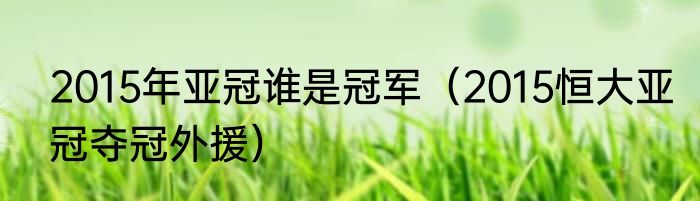2015年亚冠谁是冠军（2015恒大亚冠夺冠外援）