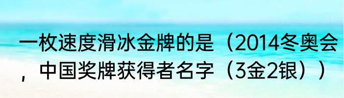 一枚速度滑冰金牌的是（2014冬奥会，中国奖牌获得者名字（3金2银））