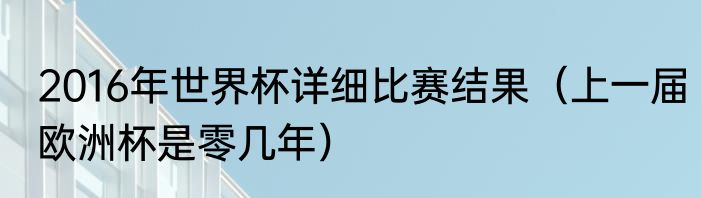2016年世界杯详细比赛结果（上一届欧洲杯是零几年）